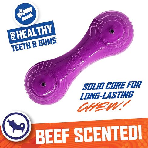 Nerf Dog 7in TPR/PP Scented Beef SuperScent Barbell Solid Core - شفاف/أرجواني، صغير (NF-7131) in Saudi Arabia