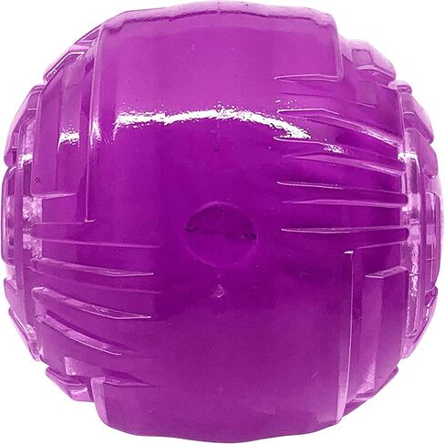 Nerf Dog 7in TPR/PP Scented Beef SuperScent Barbell Solid Core - شفاف/أرجواني، صغير (NF-7131) in Saudi Arabia