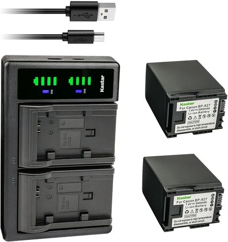 Kastar 1-Pack Battery and LTD2 USB Charger Replacement for Canon VIXIA HF S11 HFS11, VIXIA HF S20 HFS20, VIXIA HF S21 HFS21, VIXIA HF S30 HFS30, VIXIA HF S100 HFS100, VIXIA HF S200 HFS200, VIXIA HF10 in Saudi Arabia