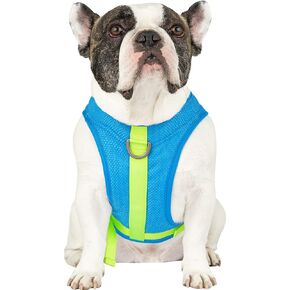 Canada Pooch Dog Cooling Harness - Evaporative Cooling Harness Vest for Dogs with Breathable Mesh Material & Reflective Lining, Adjustable Dog Cooling Vest Great for Dogs