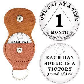 10 Year Sobriety Chip, One Day at A Time AA Chips and Medallions - Sobriety Recovery Coin Sober Token for Alcoholics Anonymous Recovery Sobriety Gifts