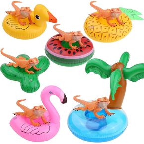 6 Pack Bearded Dragon Lizard Bathe Float Bathtub Toy Enjoy The Bath Time with Bearded Dragon