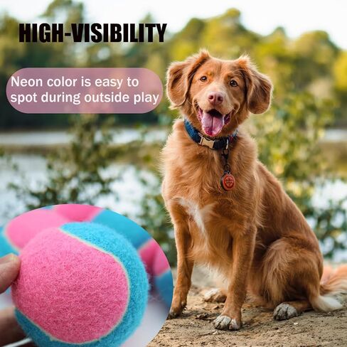 Magicorange Tennis Balls, 12 Pack Tennis Balls for Dogs, Pet Dog Playing Balls, Come with Mesh Bag for Easy Transport, Colorful Easy Catching Pet Dog Balls (Blue Pink, 2.5 inch) in Kuwait