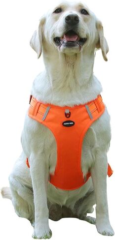 Breathable mesh Dog Harness No Pull and Leash Set Adjustable Pet Harness with Soft Padded Vertical Handle for Lifting Reflective No-Choke Dog Vest 2 Leash Hooks Escape Proof (Orange, XL) in Saudi Arabia
