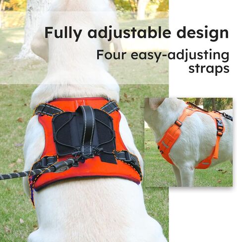 Breathable mesh Dog Harness No Pull and Leash Set Adjustable Pet Harness with Soft Padded Vertical Handle for Lifting Reflective No-Choke Dog Vest 2 Leash Hooks Escape Proof (Orange, XL) in Saudi Arabia