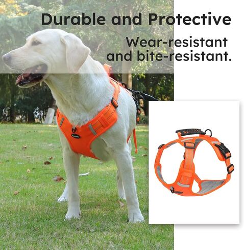 Breathable mesh Dog Harness No Pull and Leash Set Adjustable Pet Harness with Soft Padded Vertical Handle for Lifting Reflective No-Choke Dog Vest 2 Leash Hooks Escape Proof (Orange, XL) in Saudi Arabia
