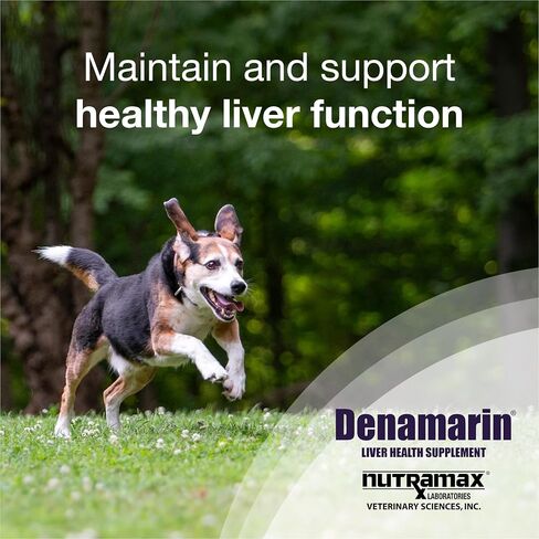 Nutramax Denamarin Liver Health Supplement for Medium Dogs - with S-Adenosylmethionine (Same) and Silybin, 30 Blister Pack Tablets in Saudi Arabia