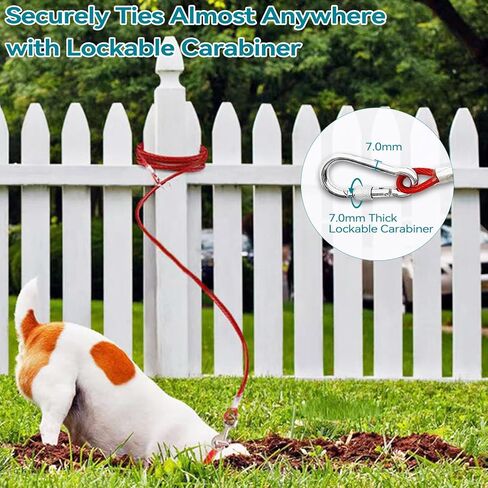 Tie Out Cable for Dogs Heavy Duty, Long Dog Leash 10ft with Carabiner & 13in Short Dog Leash with Padded Handle, Dog Chains for Outside Chew Proof, Dog Runner for Yard for Medium Large Dogs in Kuwait