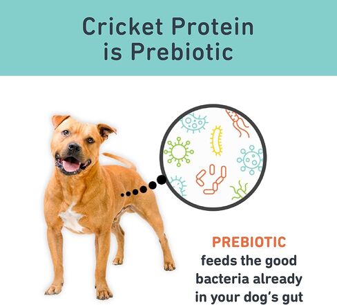 Jiminy's Original Cricket Cookie Dog Treat, Hypoallergenic, 5oz, Peanut Butter & Blueberry (Pack of 1) in Kuwait