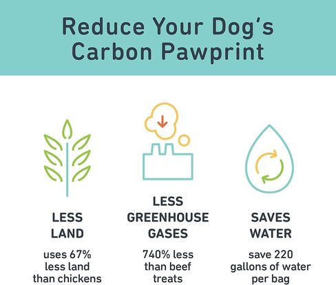 Jiminy's Original Cricket Cookie Dog Treat, Hypoallergenic, 5oz, Peanut Butter & Blueberry (Pack of 1) in Kuwait