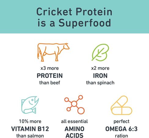 Jiminy's Original Cricket Cookie Dog Treat, Hypoallergenic, 5oz, Peanut Butter & Blueberry (Pack of 1) in Kuwait