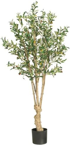 Nearly Natural 5258 Olive Silk Tree, 5-Feet, Green, 30 x 30 x 55 inches in Saudi Arabia