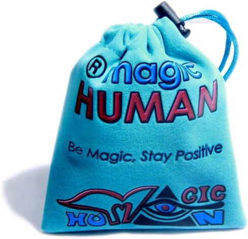 قلادة عملة الحظ - سحر رائع ذو وجهين - قلادة فنغ شوي للحظ السعيد - تميمة رموز الحظ - مجوهرات من الفولاذ المقاوم للصدأ مع لمسة نهائية عتيقة - قلادة حبل قابلة للتعديل - تعويذة النجاح in Kuwait