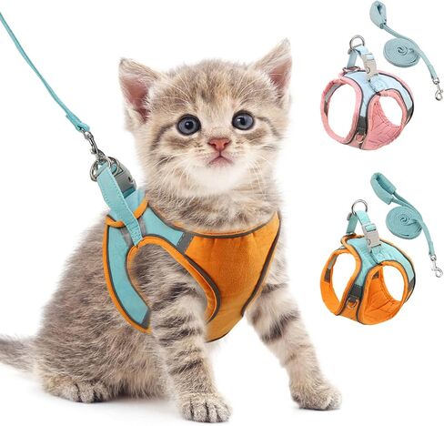 ORIA Dog Harness, No-Pull Pet Harness, Dog Harness and Leash Set, Breathable and Adjustable Pet Vest with Reflective Strips, for Small Kitten, Puppy, Orange and Blue, XXS in Saudi Arabia