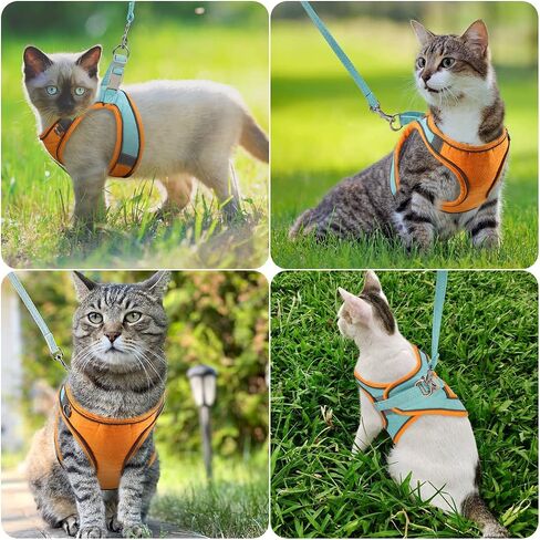 ORIA Dog Harness, No-Pull Pet Harness, Dog Harness and Leash Set, Breathable and Adjustable Pet Vest with Reflective Strips, for Small Kitten, Puppy, Orange and Blue, XXS in Saudi Arabia