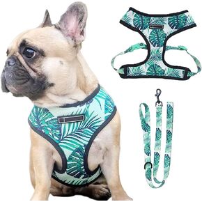 Dog Harness and Leash Set, Adjustable Dog Vest Harness Set, Outdoor Walking Vest Harness for French Bulldog and Puppy Small Medium Large Dog L