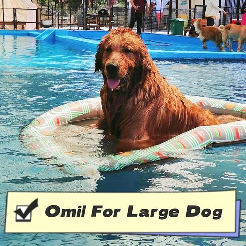 Portable Inflatable Dog Float for 80Lbs Foldable Puncture Resistance Doggy Float for Pool Pet Floating Row for Pets Swimming in Saudi Arabia
