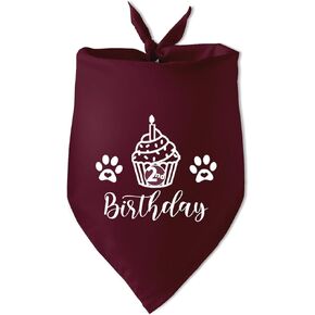2nd Birthday Dog Bandana Dog 2 Year Old Birthday Dog 2nd Birthday Boy Girl Birthday Bandana Puppy Bandana 2nd Birthday Photo Prop Accessories for Pet Dog Lovers Owner Gift