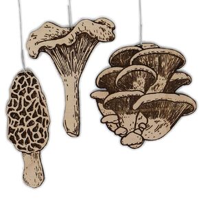 Mushroom Christmas Ornament Pack | Morel, Oyster, and Chanterelle Mushrooms Set of 3 Wood Handmade Holiday Decorations
