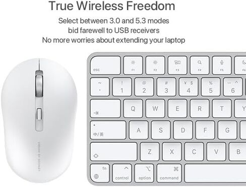Dual Mode 2.4G Wireless and Bluetooth Mouse, 800/1200/1600 DPI Cordless Computer Mouse with USB Receiver, for Home Office Travel Compatible with PC, Laptop, Notebook, iPad, Mac, Chromebook in Kuwait