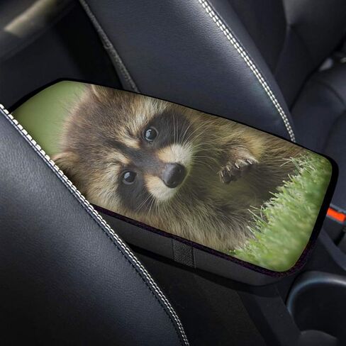 Trendy and Fashionable Car Armrest Pad Cover Center Console Box Cushion,Daisy Flower Black Universal Fit Auto Car Interior Accessories in Saudi Arabia