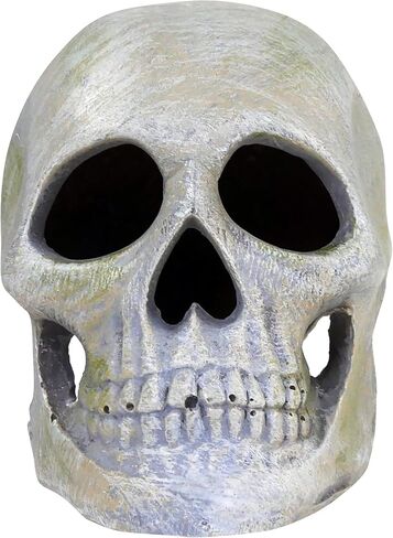 Penn-Plax Deco Replicas Human Skull Aquarium Décor in Saudi Arabia