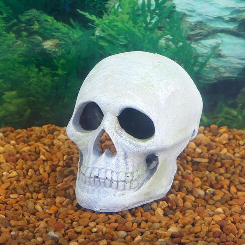 Penn-Plax Deco Replicas Human Skull Aquarium Décor in Saudi Arabia