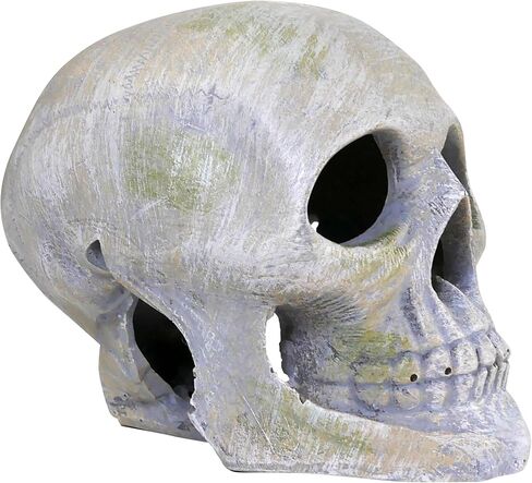 Penn-Plax Deco Replicas Human Skull Aquarium Décor in Saudi Arabia