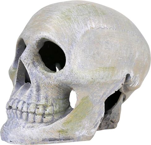 Penn-Plax Deco Replicas Human Skull Aquarium Décor in Saudi Arabia