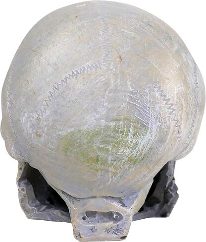 Penn-Plax Deco Replicas Human Skull Aquarium Décor in Saudi Arabia