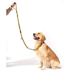 Shock Absorbing Bungee Dog Leash 4-7 ft. for Golden Retreivers with Seatbelt Buckle and Comfortable Padded Handle, Highly Reflective Extendable Heavy Duty Stretchy Tactical Dog Leash (Gold)