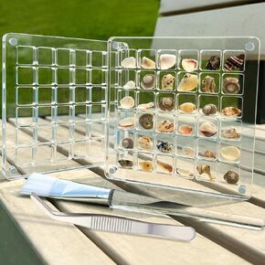 2Pcs Acrylic Magnetic Seashell Display Box, 36 Grids Clear Decorative Storage Box for Mini Seashells, 4.7"x4.7" Small Acrylic Box with Brush and Tweezer, Must-have for Seashell Collector