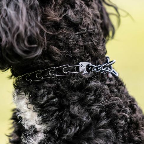 Herm. Sprenger Ultra-Plus Micro Prong Dog Training Collar for Smaller Dogs, Anti Pull Training Pinch Collar, Stainless Steel Black (1.5 mm x 9.5" Neck Size; 12-13" Chain Length) - O-Ring Version in Saudi Arabia