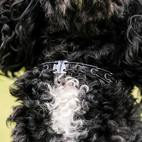 Herm. Sprenger Ultra-Plus Micro Prong Dog Training Collar for Smaller Dogs, Anti Pull Training Pinch Collar, Stainless Steel Black (1.5 mm x 9.5" Neck Size; 12-13" Chain Length) - O-Ring Version in Saudi Arabia