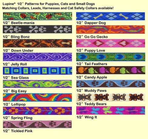 طوق أمان للقطط من LupinePet Originals مقاس 1/2 بوصة مع جرس، 8-12 بوصة in Saudi Arabia