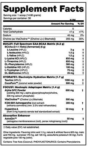 NutraBio Alpha EAA - أمينوس طوال اليوم - مكمل للانتعاش والطاقة والتركيز والترطيب - مصفوفة EAA BCAA كاملة الطيف، إلكتروليتات، نوتروبيكس، ماء جوز الهند - 30 وجبة - سحق توت العنب in Kuwait