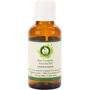 Lavandin Essential Oil | Lavandula Hybrida | Lavandin Oil | Pure Lavandin Oil | 100% Pure Natural | Steam Distilled | Therapeutic Grade | 30ml | 1.01oz by R V Essential