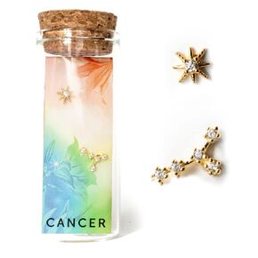 18k Gold Mismatched Stud Earring, Zodiac Star Stud Earrings Gift Set, Birthday Astrology Gifts for Women, Teens, Birth Flower, Scorpio Gifts