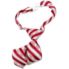 Ringmasters Utah Microfiber Tie (Toddler)