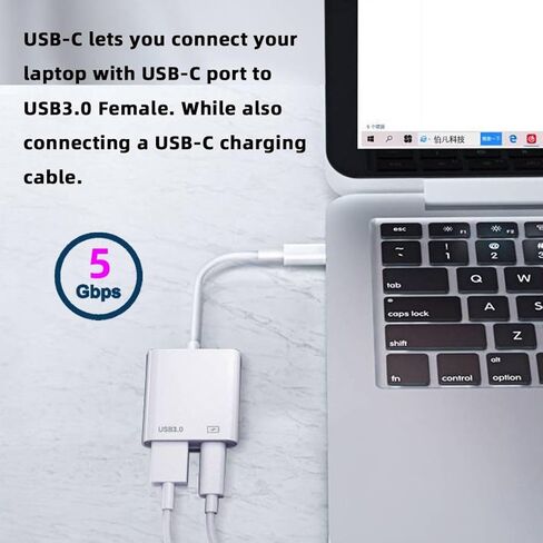 chenyang 2 in 1 USB C to RJ45 100Mbps Networking Adapter with PD 24W Charge for Laptop Tablet Phone in Kuwait