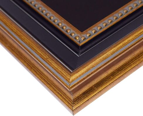 Space Art Deco, 11.5x11.5 Picture Frame with 2 Opening Fits a 5.5x8.5 Business License and A Dollar Bill with Black Over Gold Double Mat, Wall Mounting (Black/Ornate Gold) in Saudi Arabia