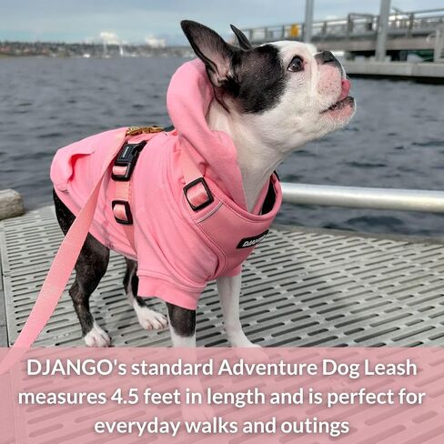 DJANGO Adventure Dog Leash – Strong, Comfortable, and Stylish Dog Leash with Solid Brass Hardware and Padded Handle - Designed for Outdoor Adventures and Everyday Use (Crimson Red) in Saudi Arabia