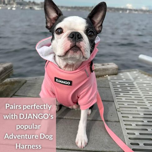 DJANGO Adventure Dog Leash – Strong, Comfortable, and Stylish Dog Leash with Solid Brass Hardware and Padded Handle - Designed for Outdoor Adventures and Everyday Use (Crimson Red) in Saudi Arabia