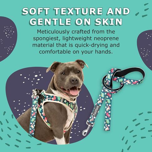 FuzzYard Dinosaur Land Dog Leash | Size S | Comfortable Neoprene Lead for Dogs | Perfect for Outdoor Walking & Training in Saudi Arabia