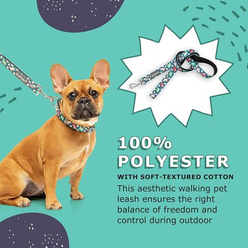 FuzzYard Dinosaur Land Dog Leash | Size S | Comfortable Neoprene Lead for Dogs | Perfect for Outdoor Walking & Training in Saudi Arabia