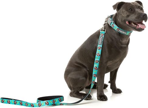 FuzzYard Dinosaur Land Dog Leash | Size S | Comfortable Neoprene Lead for Dogs | Perfect for Outdoor Walking & Training in Saudi Arabia
