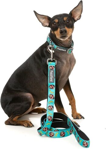 FuzzYard Dinosaur Land Dog Leash | Size S | Comfortable Neoprene Lead for Dogs | Perfect for Outdoor Walking & Training in Saudi Arabia