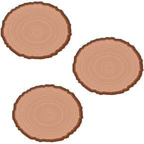 Fun Express Wood Slice Bulletin Board Cutouts - 48 Pieces - Educational and Learning Activities for Kids