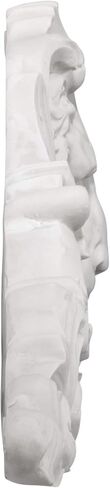 Design Toscano Remoulage Lion Sculptural Wall Pediment in Saudi Arabia