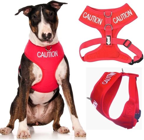 Limited Caution (Do Not Approach) Red Color Coded Non-Pull Front and Back D Ring Padded and Waterproof Vest Dog Harness Prevents Accidents by Warning Others of Your Dog in Advance (L) in Saudi Arabia